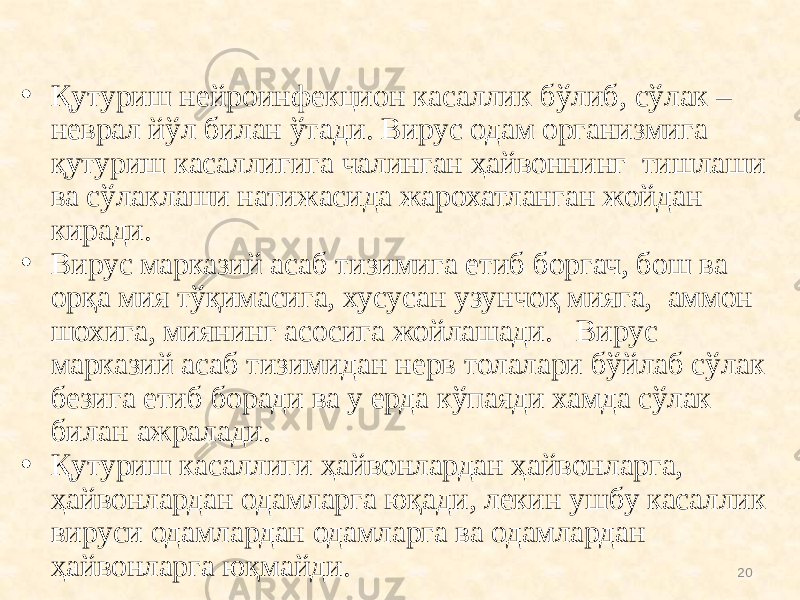 • Қутуриш нейроинфекцион касаллик бўлиб, сўлак – неврал йўл билан ўтади. Вирус одам организмига қутуриш касаллигига чалинган ҳайвоннинг тишлаши ва сўлаклаши натижасида жарохатланган жойдан киради. • Вирус марказий асаб тизимига етиб боргач, бош ва орқа мия тўқимасига, хусусан узунчоқ мияга, аммон шохига, миянинг асосига жойлашади. Вирус марказий асаб тизимидан нерв толалари бўйлаб сўлак безига етиб боради ва у ерда кўпаяди хамда сўлак билан ажралади. • Қутуриш касаллиги ҳайвонлардан ҳайвонларга, ҳайвонлардан одамларга юқади, лекин ушбу касаллик вируси одамлардан одамларга ва одамлардан ҳайвонларга юқмайди. 20 