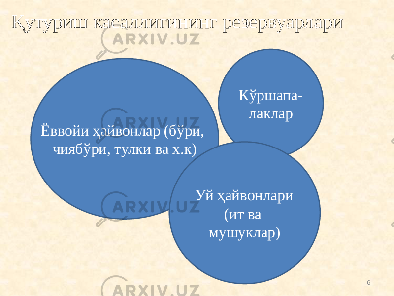 Қутуриш касаллигининг резервуарлари Ёввойи ҳайвонлар (бўри, чиябўри, тулки ва х.к) Кўршапа- лаклар Уй ҳайвонлари (ит ва мушуклар) 6 