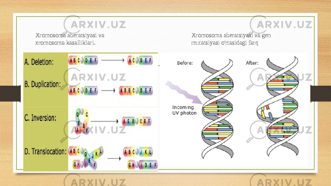 Xromosoma aberatsiyasi va gen mutatsiyasi o&#39;rtasidagi farqXromosoma aberatsiyasi va xromosoma kasalliklari . 