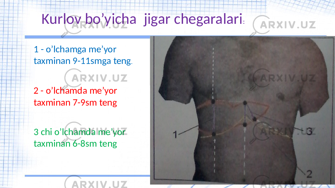 Kurlov bo’yicha jigar chegaralari : 1 - o’lchamga me’yor taxminan 9-11smga teng . 2 - o’lchamda me’yor taxminan 7-9sm teng 3 chi o’lchamda me’yor taxminan 6-8sm teng 