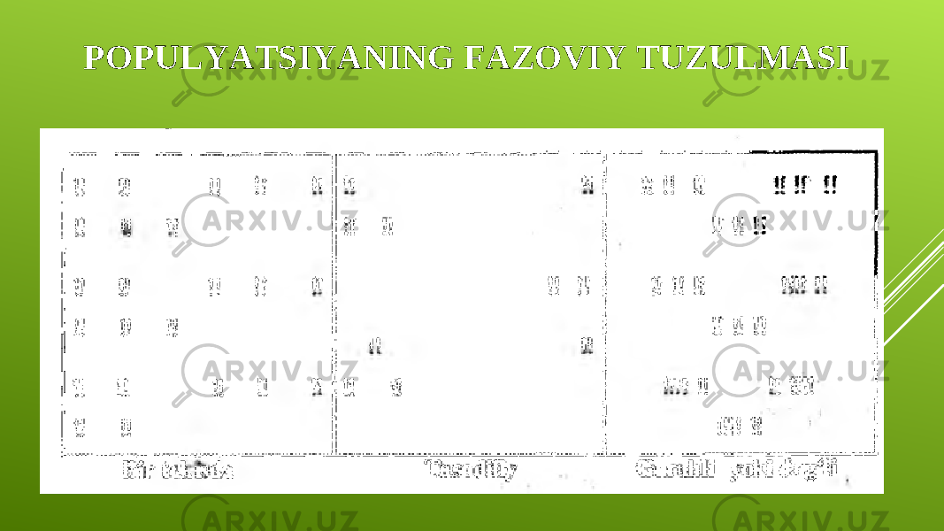 POPULYATSIYANING FAZOVIY TUZULMASI 