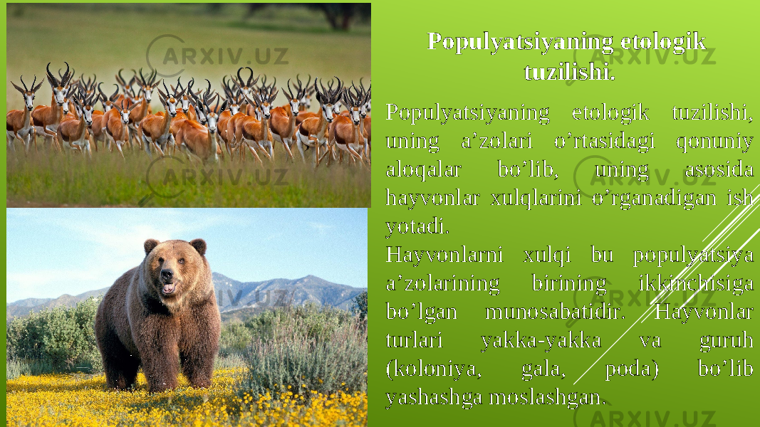 Populyatsiyaning etologik tuzilishi. Populyatsiyaning etologik tuzilishi, uning a’zolari o’rtasidagi qonuniy aloqalar bo’lib, uning asosida hayvonlar xulqlarini o’rganadigan ish yotadi. Hayvonlarni xulqi bu populyatsiya a’zolarining birining ikkinchisiga bo’lgan munosabatidir. Hayvonlar turlari yakka-yakka va guruh (koloniya, gala, poda) bo’lib yashashga moslashgan. 