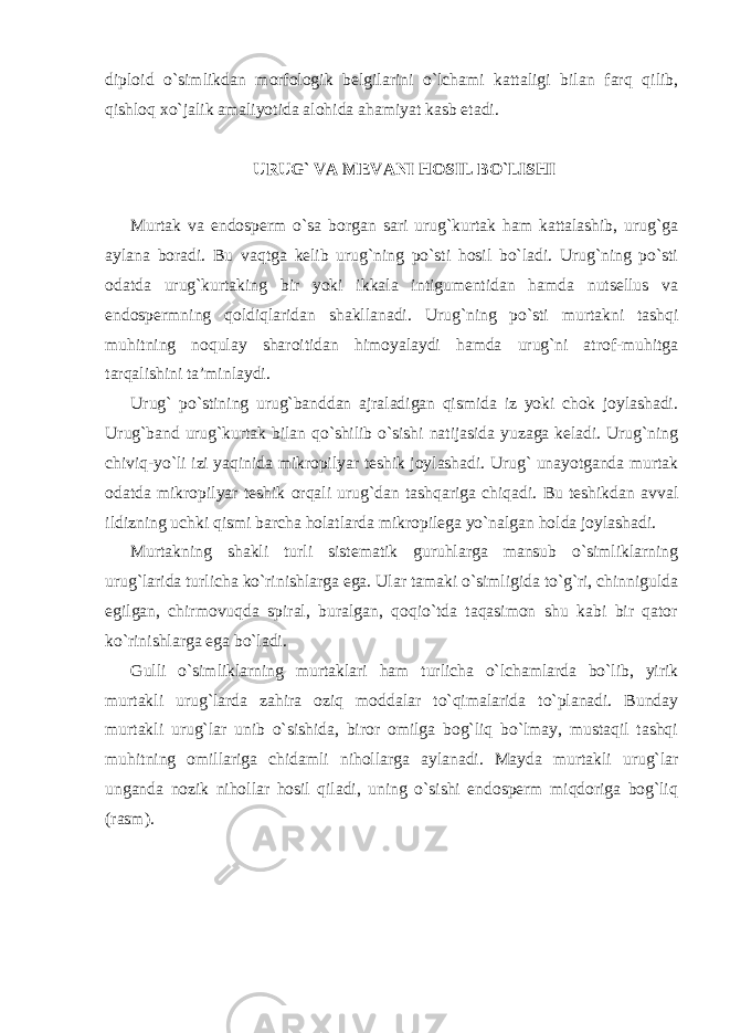 diploid o`simlikdan morfologik belgilarini o`lchami kattaligi bilan farq qilib, qishloq xo`jalik amaliyotida alohida ahamiyat kasb etadi. URUG` VA MEVANI HOSIL BO`LISHI Murtak va endosperm o`sa borgan sari urug`kurtak ham kattalashib, urug`ga aylana boradi. Bu vaqtga kelib urug`ning po`sti hosil bo`ladi. Urug`ning po`sti odatda urug`kurtaking bir yoki ikkala intigumentidan hamda nutsellus va endospermning qoldiqlaridan shakllanadi. Urug`ning po`sti murtakni tashqi muhitning noqulay sharoitidan himoyalaydi hamda urug`ni atrof-muhitga tarqalishini ta’minlaydi. Urug` po`stining urug`banddan ajraladigan qismida iz yoki chok joylashadi. Urug`band urug`kurtak bilan qo`shilib o`sishi natijasida yuzaga keladi. Urug`ning chiviq-yo`li izi yaqinida mikropilyar teshik joylashadi. Urug` unayotganda murtak odatda mikropilyar teshik orqali urug`dan tashqariga chiqadi. Bu teshikdan avval ildizning uchki qismi barcha holatlarda mikropilega yo`nalgan holda joylashadi. Murtakning shakli turli sistematik guruhlarga mansub o`simliklarning urug`larida turlicha ko`rinishlarga ega. Ular tamaki o`simligida to`g`ri, chinnigulda egilgan, chirmovuqda spiral, buralgan, qoqio`tda taqasimon shu kabi bir qator ko`rinishlarga ega bo`ladi. Gulli o`simliklarning murtaklari ham turlicha o`lchamlarda bo`lib, yirik murtakli urug`larda zahira oziq moddalar to`qimalarida to`planadi. Bunday murtakli urug`lar unib o`sishida, biror omilga bog`liq bo`lmay, mustaqil tashqi muhitning omillariga chidamli nihollarga aylanadi. Mayda murtakli urug`lar unganda nozik nihollar hosil qiladi, uning o`sishi endosperm miqdoriga bog`liq (rasm). 