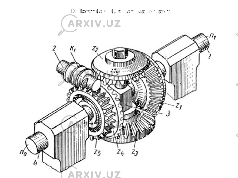 Differentsial tuzilishi va ishlashi 