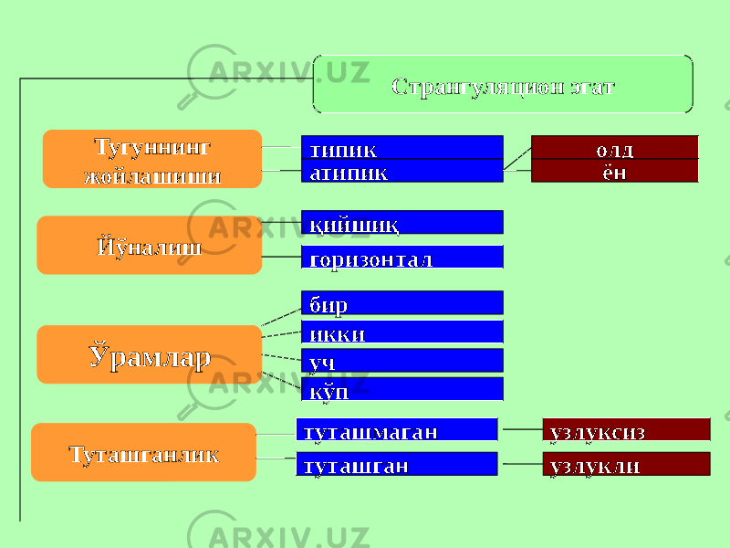 Странгуляцион эгат Тугуннинг жойлашиши Йўналиш Ўрамлар Туташганлик типик атипик олд ён қийшиқ горизонтал бир икки уч кўп туташгантуташмаган узлуксиз узлукли 