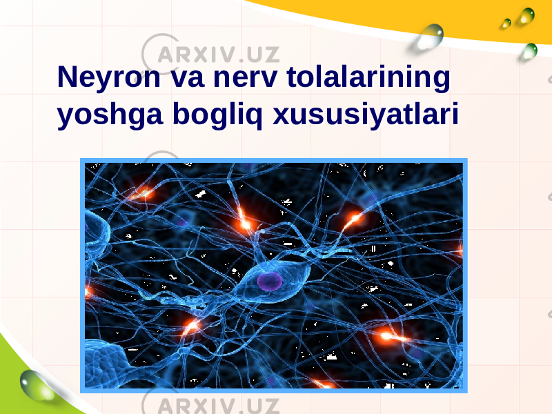 Neyron va nerv tolalarining yoshga bogliq xususiyatlariNeyron va nerv tolalarining yoshga bogliq xususiyatlari 