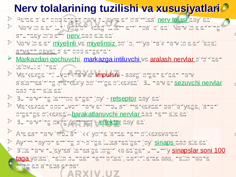 Nerv tolalarining tuzilishi va xususiyatlariNerv tolalarining tuzilishi va xususiyatlari  Parda bilan qoplangan nerv hujayralari o&#39;simtasi nerv tolasi deyiladi.  Nerv tolalari turli yo&#39;g&#39;onlikdagi tutamlarni hosil qiladi. Nerv tolalarining shunday to&#39;plami nerv deb ataladi.  Nerv tolalari miyelinli va miyelinsiz bo&#39;lib, miyelinsiz nerv tolalari faqat shvann qavat bilan qoplangandir.  Markazdan qochuvchi , markazga intiluvchi va aralash nervlar birbiridan tafovut qilinadi.  Markazga intiluvchi nervlar impulsni - sezgi organlaridan nerv sistemasining markaziy bo&#39;limiga o&#39;tkazadi. Bu nervlar sezuvchi nervlar deb ham ataladi.  Bu nervning tarmoqlangan joyi - retseptor deyiladi.  Markazdan qochuvchi nervlar impulsni markazdan periferiyaga, ishchi organga o&#39;tkazadi- harakatlanuvchi nervlar deb ham ataladi.  Bu nervning oxirgi tarmog&#39;i - effektor deyiladi.  Aralash nerv impulsni ikki yo&#39;nalishda ham o&#39;tkazaveradi.  Ayrim neyronlarning bir-biriga tutashadigan joyi sinaps deb ataladi.  Bitta nerv hujayrasi tanasiga to&#39;g&#39;ri keladigan umumiy sinapslar soni 100 taga yetadi, hatto bundan ham ortadi, dentritlarda esa, hatto necha minglab sinapslar bor. 