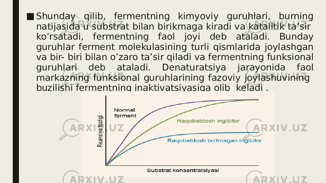 ■ Shunday qilib, fermentning kimyoviy guruhlari, burning natijasida u substrat bilan birikmaga kiradi va katalitik ta’sir ko’rsatadi, fermentning faol joyi deb ataladi. Bunday guruhlar ferment molekulasining turli qismlarida joylashgan va bir- biri bilan o’zaro ta’sir qiladi va fermentning funksional guruhlari deb ataladi. Denaturatsiya jarayonida faol markazning funksional guruhlarining fazoviy joylashuvining buzilishi fermentning inaktivatsiyasiga olib keladi . 