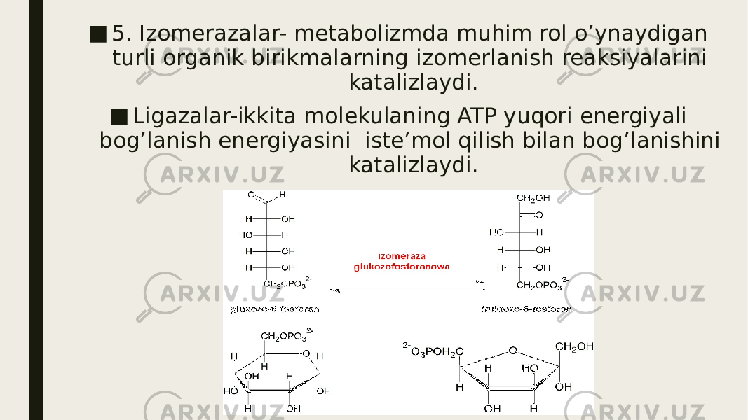 ■ 5. Izomerazalar- metabolizmda muhim rol o’ynaydigan turli organik birikmalarning izomerlanish reaksiyalarini katalizlaydi. ■ Ligazalar-ikkita molekulaning ATP yuqori energiyali bog’lanish energiyasini iste’mol qilish bilan bog’lanishini katalizlaydi. 