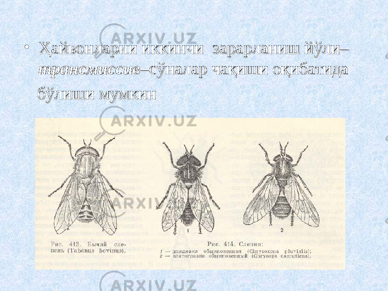 • Ҳайвонларни иккинчи зарарланиш йўли–Ҳайвонларни иккинчи зарарланиш йўли– трансмиссивтрансмиссив –сўналар чақиши оқибатида–сўналар чақиши оқибатида бўлиши мумкинбўлиши мумкин 