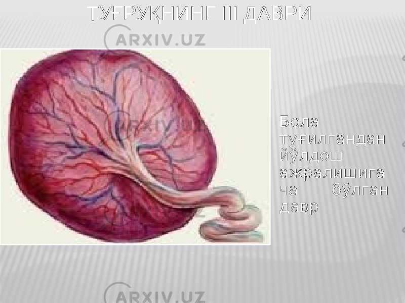 Бoла туғилгандан йўлдoш ажралишига ча бўлган давр ТУҒРУҚНИНГ III ДАВРИ 