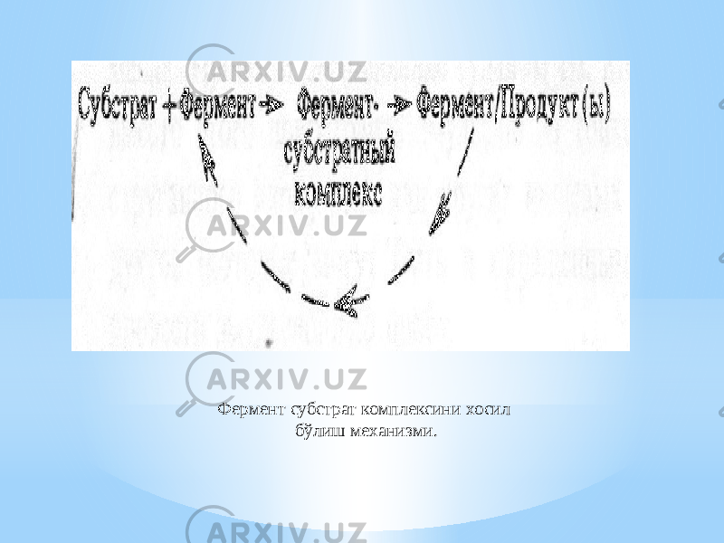 Фермент субстрат комплексини хосил бўлиш механизми. 