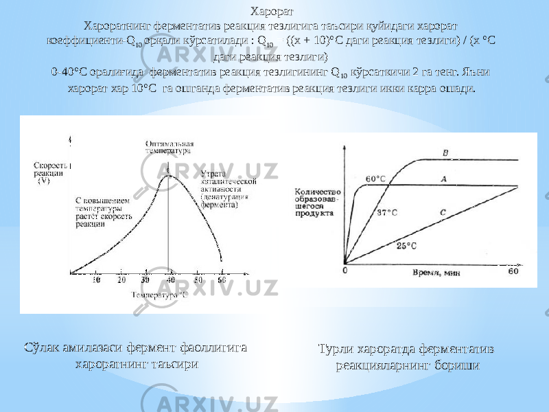 Харорат Хароратнинг ферментатив реакция тезлигига таъсири қуйидаги харорат коеффициенти-Q 10 орқали кўрсатилади : Q 10 = ((х + 10)°C даги реакция тезлиги) / (х °C даги реакция тезлиги) 0-40°C оралиғида ферментатив реакция тезлигининг Q 10 кўрсаткичи 2 га тенг. Яъни харорат хар 10°C га ошганда ферментатив реакция тезлиги икки карра ошади. Сўлак амилазаси фермент фаоллигига хароратнинг таъсири Турли хароратда ферментатив реакцияларнинг бориши 