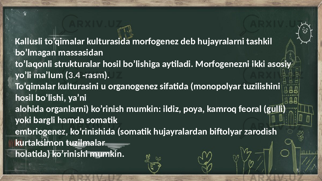 Kallusli to’qimalar kulturasida morfogenez deb hujayralarni tashkil bo’lmagan massasidan to’laqonli strukturalar hosil bo’lishiga aytiladi. Morfogenezni ikki asosiy yo’li ma’lum (3.4 -rasm). To’qimalar kulturasini u organogenez sifatida (monopolyar tuzilishini hosil bo’lishi, ya’ni alohida organlarni) ko’rinish mumkin: ildiz, poya, kamroq feoral (gulli) yoki bargli hamda somatik embriogenez, ko’rinishida (somatik hujayralardan biftolyar zarodish kurtaksimon tuzilmalar holatida) ko’rinishi mumkin. 