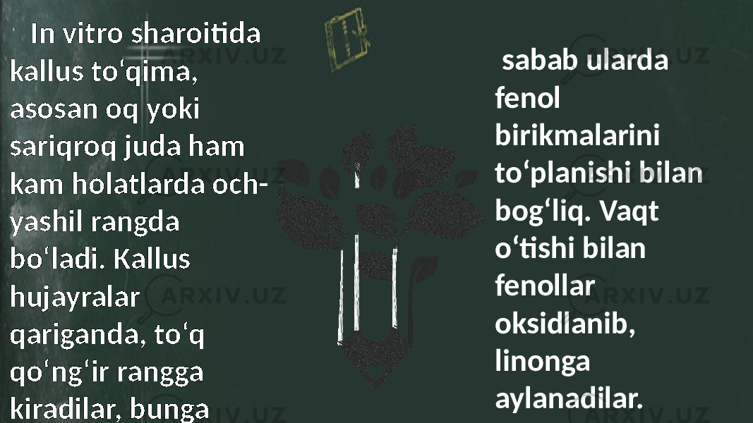  In vitro sharoitida kallus to‘qima, asosan oq yoki sariqroq juda ham kam holatlarda och- yashil rangda bo‘ladi. Kallus hujayralar qariganda, to‘q qo‘ng‘ir rangga kiradilar, bunga sabab ularda fenol birikmalarini to‘planishi bilan bog‘liq. Vaqt o‘tishi bilan fenollar oksidlanib, linonga aylanadilar. 