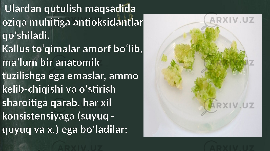  Ulardan qutulish maqsadida oziqa muhitiga antioksidantlar qo‘shiladi. Kallus to‘qimalar amorf bo‘lib, ma’lum bir anatomik tuzilishga ega emaslar, ammo kelib-chiqishi va o‘stirish sharoitiga qarab, har xil konsistensiyaga (suyuq - quyuq va x.) ega bo‘ladilar: 