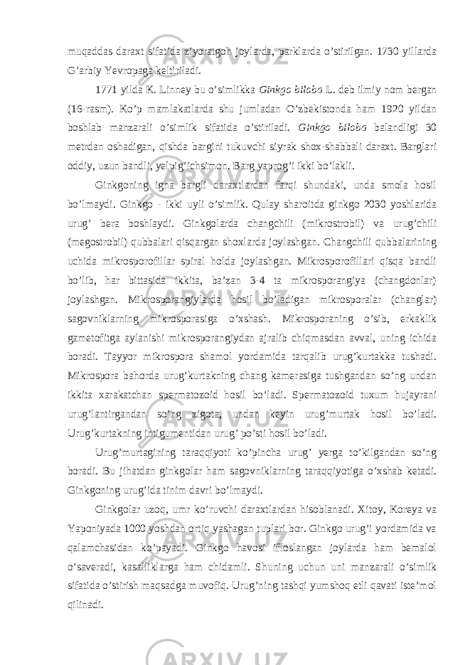 muqaddas daraxt sifatida ziyoratgoh joylarda, parklarda o’stirilgan. 1730 yillarda G’arbiy Yevropaga keltiriladi. 1771 yilda K. Linney bu o’simlikka Ginkgo biloba L. deb ilmiy nom bergan (16-rasm). Ko’p mamlakatlarda shu jumladan O’zbekistonda ham 1920 yildan boshlab manzarali o’simlik sifatida o’stiriladi. Ginkgo biloba balandligi 30 metrdan oshadigan, qishda bargini tukuvchi siyrak shox-shabbali daraxt. Barglari oddiy, uzun bandli, yelpig’ichsimon. Barg yaprog’i ikki bo’lakli. Ginkgoning igna bargli daraxtlardan farqi shundaki, unda smola hosil bo’lmaydi. Ginkgo - ikki uyli o’simlik. Qulay sharoitda ginkgo 2030 yoshlarida urug’ bera boshlaydi. Ginkgolarda changchili (mikrostrobil) va urug’chili (megostrobil) qubbalari qisqargan shoxlarda joylashgan. Changchili qubbalarining uchida mikrosporofillar spiral holda joylashgan. Mikrosporofillari qisqa bandli bo’lib, har bittasida ikkita, ba’zan 3-4 ta mikrosporangiya (changdonlar) joylashgan. Mikrosporangiylarda hosil bo’ladigan mikrosporalar (changlar) sagovniklarning mikrosporasiga o’xshash. Mikrosporaning o’sib, erkaklik gametofitga aylanishi mikrosporangiydan ajralib chiqmasdan avval, uning ichida boradi. Tayyor mikrospora shamol yordamida tarqalib urug’kurtakka tushadi. Mikrospora bahorda urug’kurtakning chang kamerasiga tushgandan so’ng undan ikkita xarakatchan spermatozoid hosil bo’ladi. Spermatozoid tuxum hujayrani urug’lantirgandan so’ng zigota, undan keyin urug’murtak hosil bo’ladi. Urug’kurtakning intigumentidan urug’ po’sti hosil bo’ladi. Urug’murtagining taraqqiyoti ko’pincha urug’ yerga to’kilgandan so’ng boradi. Bu jihatdan ginkgolar ham sagovniklarning taraqqiyotiga o’xshab ketadi. Ginkgoning urug’ida tinim davri bo’lmaydi. Ginkgolar uzoq, umr ko’ruvchi daraxtlardan hisoblanadi. Xitoy, Koreya va Yaponiyada 1000 yoshdan ortiq yashagan tuplari bor. Ginkgo urug’i yordamida va qalamchasidan ko’payadi. Ginkgo havosi ifloslangan joylarda ham bemalol o’saveradi, kasalliklarga ham chidamli. Shuning uchun uni manzarali o’simlik sifatida o’stirish maqsadga muvofiq. Urug’ning tashqi yumshoq etli qavati iste’mol qilinadi. 