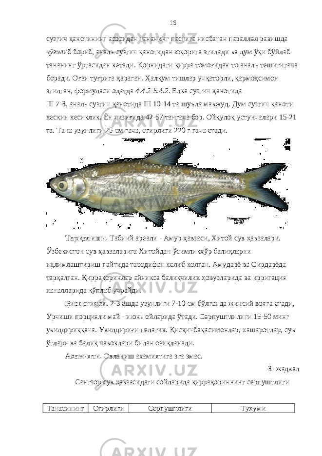 16 сузгич қанотининг асосидан тананинг пастига нисбатан параллел равишда чўзил иб бориб, аналь сузгич қанотидан юқорига эгилади ва дум ўқи бўйлаб тананинг ўртасидан кетади. Қ орнидаги қ ирра томо ғ идан то аналь тешигигача боради. О ғ зи ту ғ рига қ араган. Ҳ ал қ ум тишлар уч қ а т орли, қармоқ симон эгилган, формуласи одатда 4.4.2-5 .4 .2. Елка сузгич қанотида III 7-8, аналь сузгич қанотида III 10-14 та шуъла мавжуд. Дум сузгич қаноти кескин кесиклик. Ён чизи ғ ида 42-57 тангача бор. Ойқулоқ устун чалари 15-21 та. Тана узунлиги 25 см гача, о ғ ирлиги 220 г гача е тади. Тарқалиши . Табиий ареали - Амур ҳ авзаси, Хитой сув ҳа взалари. Ўзбекистон сув ҳ авзалари г а Хитойдан ўсимликхўр балиқларни иқлимл аштириш пайтида тасодифан келиб колган. Амударё ва Сирдарёда тарқалган . Қ иррақоринлар айникса балиқчилик ҳ овузларида ва ирригация канал ларида к ў плаб учрайди. Биологияси. 2-3 ёшда узунлиги 7-10 см б ў лганда жинсий вояга етади, Урчиши порцияли май - июнь ойларида ў тади. Серпуштлилиги 15-50 минг увилдири ққ ача. Увилдириғи пелагик. Қ ис қ ичба қ асимонлар, хашаротлар, сув ў тлари ва балиқ чавок л ари билан ози қ ланади. Ахамияти. Овланиш ахамиятига эга эмас. 8- жадвал Сангзор сув ҳавзасидаги сойларида қиррақориннинг серпуштлиги Танасининг Оғирлиги Серпуштлиги Тухуми 