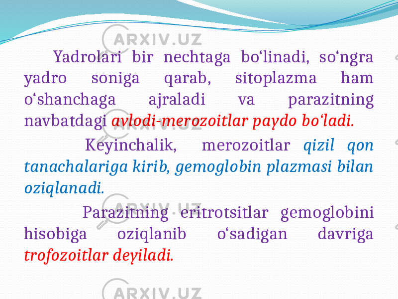  Yadrolari bir nechtaga bo‘linadi, so‘ngra yadro soniga qarab, sitoplazma ham o‘shanchaga ajraladi va parazitning navbatdagi avlodi-merozoitlar paydo bo‘ladi. Keyinchalik, merozoitlar qizil qon tanachalariga kirib, gemoglobin plazmasi bilan oziqlanadi. Parazitning eritrotsitlar gemoglobini hisobiga oziqlanib o‘sadigan davriga trofozoitlar deyiladi. 