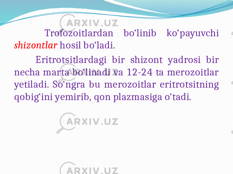  Trofozoitlardan bo‘linib ko‘payuvchi shizontlar hosil bo‘ladi. Eritrotsitlardagi bir shizont yadrosi bir necha marta bo‘linadi va 12-24 ta merozoitlar yetiladi. So‘ngra bu merozoitlar eritrotsitning qobig‘ini yemirib, qon plazmasiga o‘tadi. 