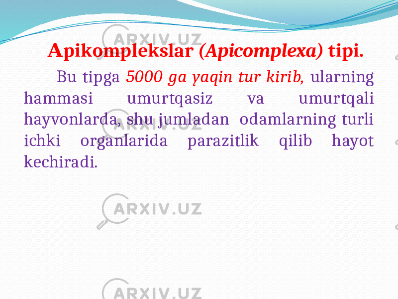  pikomplekslar А (Apicomplexa) tipi. Bu tipga 5000 ga yaqin tur kirib, ularning hammasi umurtqasiz va umurtqali hayvonlarda, shu jumladan odamlarning turli ichki organlarida parazitlik qilib hayot kechiradi. 