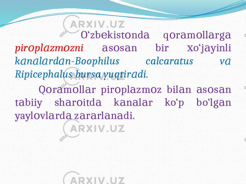  O‘zb kist nd q r m ll rg е о а о а о а а pir pl zm zni о а о s s n bir o‘j yinli а о а х а k n l rd n-Boophilus calcaratus v а а а а а Ripicephalus bursa yuqtir di. а Q r m ll r pir pl zm z bil n s s n о а о а о а о а а о а t biiy sh r itd k n l r ko‘p bo‘lg n а а о а а а а а yayl vl rd z r rl n di. о а а а а а а 