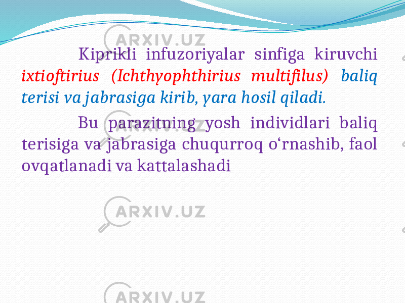  Kiprikli infuzoriyalar sinfiga kiruvchi ixtioftirius (Ichthyophthirius multifilus) baliq terisi va jabrasiga kirib, yara hosil qiladi. Bu parazitning yosh individlari baliq terisiga va jabrasiga chuqurroq o‘rnashib, faol ovqatlanadi va kattalashadi 