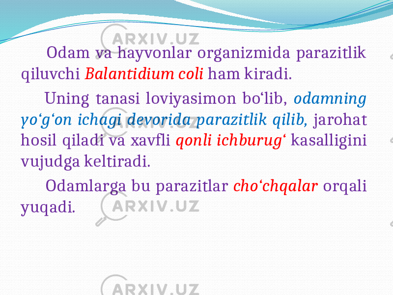  Odam va hayvonlar organizmida parazitlik qiluvchi Balantidium coli ham kiradi. Uning tanasi loviyasimon bo‘lib, odamning yo‘g‘on ichagi devorida parazitlik qilib, jarohat hosil qiladi va xavfli qonli ichburug‘ kasalligini vujudga keltiradi. Odamlarga bu parazitlar cho‘chqalar orqali yuqadi. 