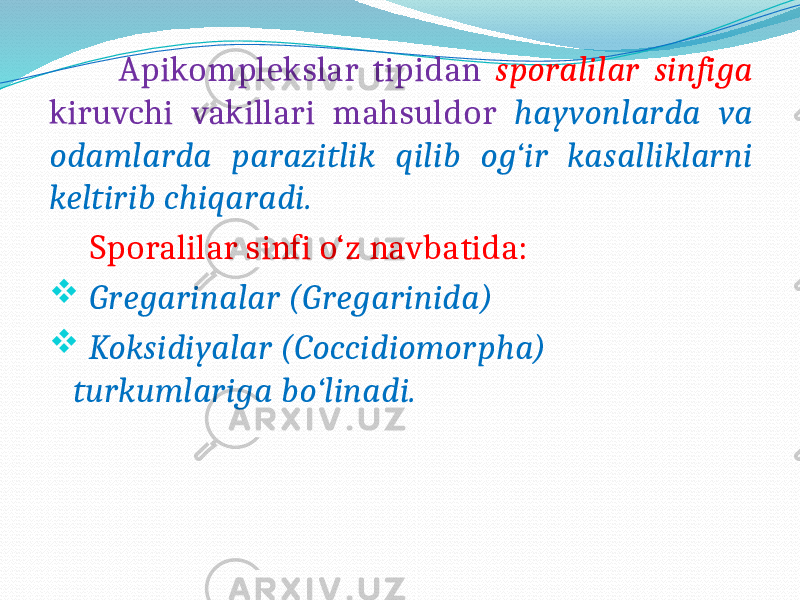  Apikomplekslar tipidan sporalilar sinfiga kiruvchi vakillari mahsuldor hayvonlarda va odamlarda parazitlik qilib og‘ir kasalliklarni keltirib chiqaradi. Sporalilar sinfi o‘z navbatida:  Gregarinalar (Gregarinida)  Koksidiyalar (Coccidiomorpha) turkumlariga bo‘linadi. 