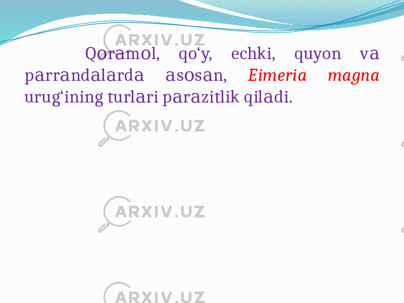  Q r m l, qo‘y, echki, quyon v о а о а p rr nd l rd s s n, а а а а а а о а Eimeria magna urug‘ining turl ri p r zitlik qil di. а а а а 