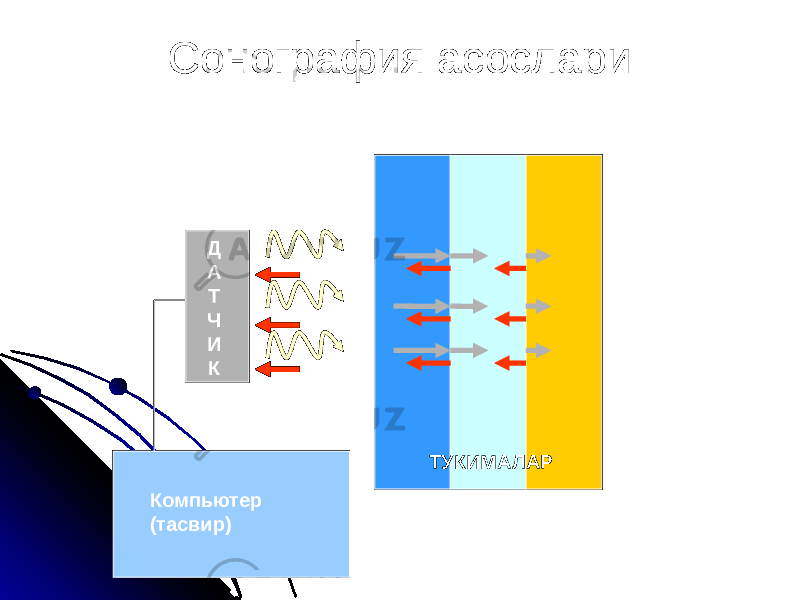 Сонография асослари ТУКИМАЛАР Компьютер (тасвир) Д А Т Ч И К 