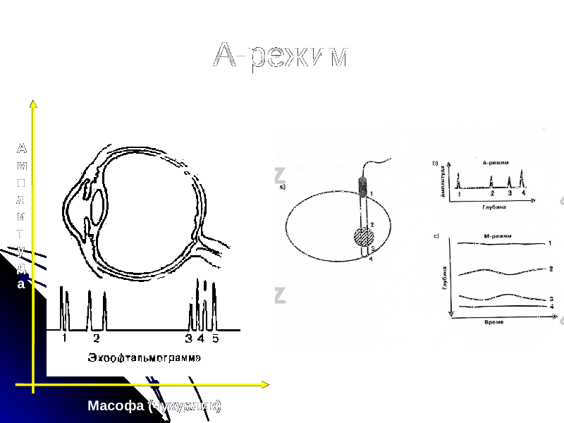 А-режим Масофа (чукурлик)А м п л и т у д а 