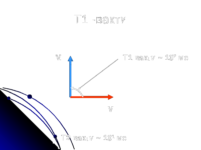 Т1 -вакти ММ Т1 вакти ~ 10 2 мс Т2 вакти ~ 10 1 мс 