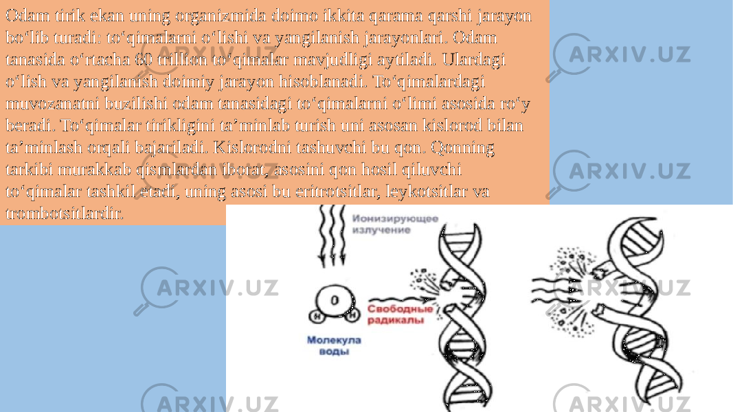 Odam tirik ekan uning organizmida doimo ikkita qarama qarshi jarayon bo‘lib turadi: to‘qimalarni o‘lishi va yangilanish jarayonlari. Odam tanasida o‘rtacha 60 trillion to‘qimalar mavjudligi aytiladi. Ulardagi o‘lish va yangilanish doimiy jarayon hisoblanadi. To‘qimalardagi muvozanatni buzilishi odam tanasidagi to‘qimalarni o‘limi asosida ro‘y beradi. To‘qimalar tirikligini ta’minlab turish uni asosan kislorod bilan ta’minlash orqali bajariladi. Kislorodni tashuvchi bu qon. Qonning tarkibi murakkab qismlardan iborat, asosini qon hosil qiluvchi to‘qimalar tashkil etadi, uning asosi bu eritrotsitlar, leykotsitlar va trombotsitlardir. 