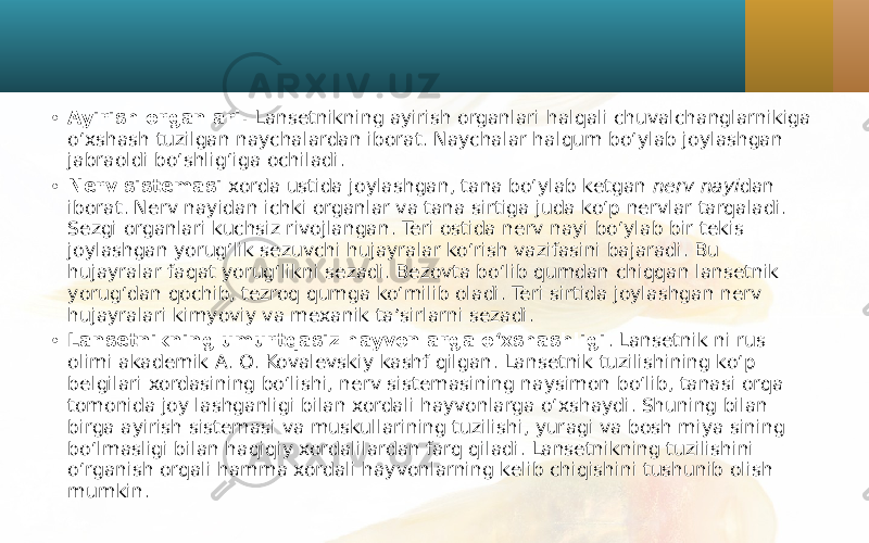 • Ayirish organlari. Lansetnikning ayirish organlari halqali chuvalchanglarnikiga o‘xshash tuzilgan naychalardan iborat. Naychalar halqum bo‘ylab joylashgan jabraoldi bo‘shlig‘iga ochiladi. • Nerv sistemasi xorda ustida joylashgan, tana bo‘ylab ketgan nerv nayi dan iborat. Nerv nayidan ichki organlar va tana sirtiga juda ko‘p nervlar tarqaladi. Sezgi organlari kuchsiz rivojlangan. Teri ostida nerv nayi bo‘ylab bir tekis joylashgan yorug‘lik sezuvchi hujayralar ko‘rish vazifasini bajaradi. Bu hujayralar faqat yorug‘likni sezadi. Bezovta bo‘lib qumdan chiqqan lansetnik yorug‘dan qochib, tezroq qumga ko‘milib oladi. Teri sirtida joylashgan nerv hujayralari kimyoviy va mexanik ta’sirlarni sezadi. • Lansetnikning umurtqasiz hayvonlarga o‘xshashligi . Lansetnik ni rus olimi akademik A. O. Kovalevskiy kashf qilgan. Lansetnik tuzilishining ko‘p belgilari xordasining bo‘lishi, nerv sistemasining naysimon bo‘lib, tanasi orqa tomonida joy lashganligi bilan xordali hayvonlarga o‘xshaydi. Shuning bilan birga ayirish sistemasi va muskullarining tuzilishi, yuragi va bosh miya sining bo‘lmasligi bilan haqiqiy xordalilardan farq qiladi. Lansetnikning tuzilishini o‘rganish orqali hamma xordali hayvonlarning kelib chiqishini tushunib olish mumkin. 