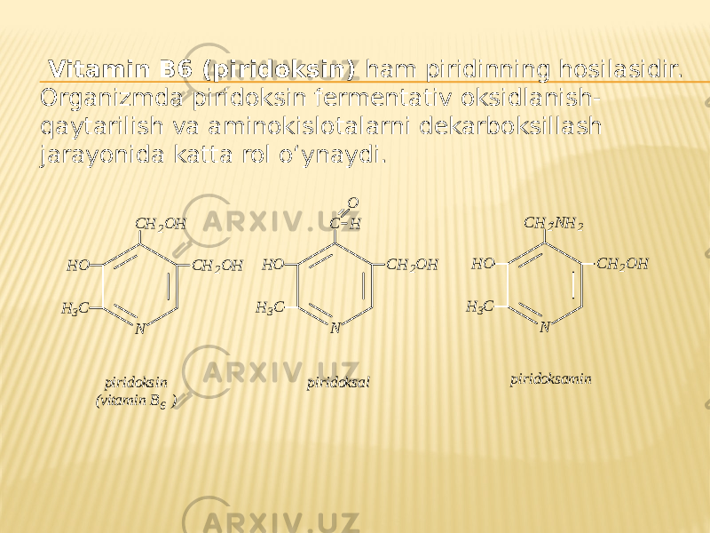  Vitamin B6 (piridoksin) ham piridinning hosilasidir. Organizmda piridoksin fermentativ oksidlanish- qaytarilish va aminokislotalarni dekarboksillash jarayonida katta rol o‘ynaydi. NC H 2 O H H O H 3 C C H 2 O H NC H 2 H O H 3 C C H 2 O HN H 2 NC H O H 3 C C H 2 O HHO p i r i d o k s i n ( v i t a m i n B 6 ) p i r i d o k s a l p i r i d o k s a m i n 