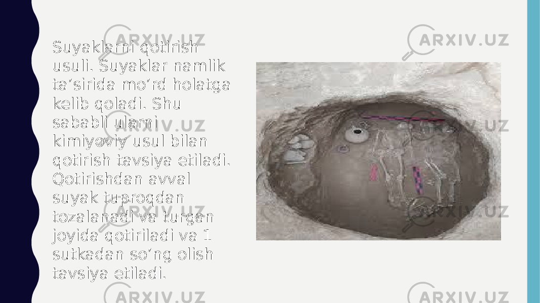 Suyaklarni qotirish usuli. Suyaklar namlik ta’sirida mo’rd holatga kelib qoladi. Shu sababli ularni kimiyoviy usul bilan qotirish tavsiya etiladi. Qotirishdan avval suyak tuproqdan tozalanadi va turgan joyida qotiriladi va 1 sutkadan so’ng olish tavsiya etiladi. 