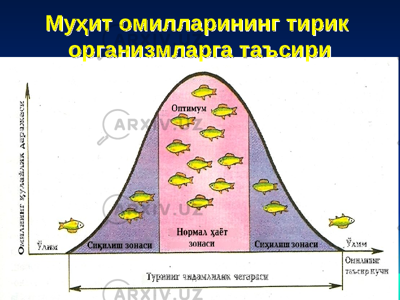 МуМу ҳҳ ит омилларининг тирик ит омилларининг тирик организмларга таъсириорганизмларга таъсири 