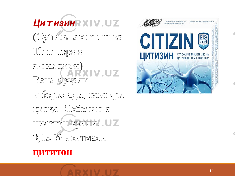 14Цитизин ( Cytisus laburnum ва Thermopsis алкалоиди ) Вена орқали юборилади, таъсири қисқа. Лобелинга нисатан кучли. 0,15 % эритмаси цититон 