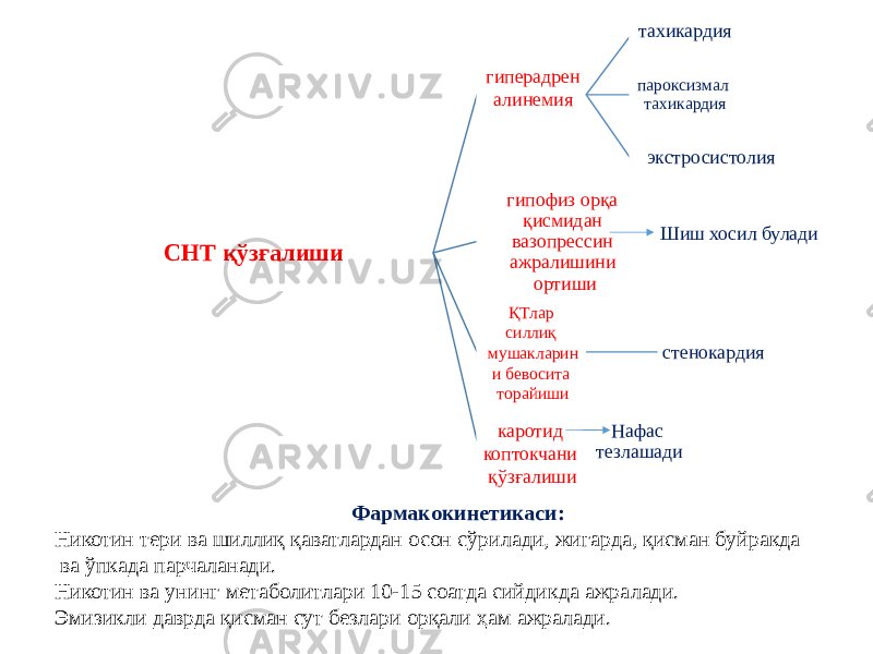 СНТ қўзғалиши гиперадрен алинемия тахикардия пароксизмал тахикардия экстросистолия гипофиз орқа қисмидан вазопрессин ажралишини ортиши ҚТлар силлиқ мушакларин и бевосита торайиши стенокардия каротид коптокчани қўзғалиши Нафас тезлашади Фармакокинетикаси: Никотин тери ва шиллиқ қаватлардан осон сўрилади, жигарда, қисман буйракда ва ўпкада парчаланади. Никотин ва унинг метаболитлари 10-15 соатда сийдикда ажралади. Эмизикли даврда қисман сут безлари орқали ҳам ажралади. Шиш хосил булади 