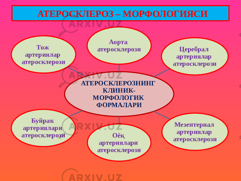 АТЕРОСКЛЕРОЗНИНГ КЛИНИК- МОРФОЛОГИК ФОРМАЛАРИ Аорта атеросклерози Церебрал артериялар атеросклерози Мезентериал артериялар атеросклерозиОёқ артериялари атеросклерозиБуйрак артериялари атеросклерози Тож артериялар атеросклерози АТЕРОСКЛЕРОЗ – МОРФОЛОГИЯСИ 