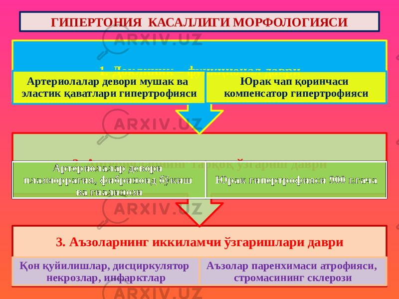 3. Аъзоларнинг иккиламчи ўзгаришлари даври Қон қуйилишлар, дисциркулятор некрозлар, инфарктлар Аъзолар паренхимаси атрофияси, стромасининг склерози2. Артерияларнинг тарқоқ ўзгариш даври Артериолалар девори плазморрагия, фибриноид бўкиш ва гиалинози Юрак гипертрофияси 900 г.гача1. Доклиник – функционал даври Артериолалар девори мушак ва эластик қаватлари гипертрофияси Юрак чап қоринчаси компенсатор гипертрофиясиГИПЕРТОНИЯ КАСАЛЛИГИ МОРФОЛОГИЯСИ 