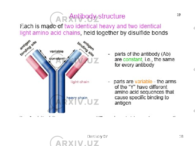 Dentistry 07 18 