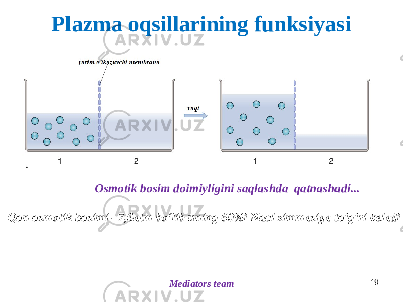 Plazma oqsillarining funksiyasi Mediators team 19 Osmotik bosim doimiyligini saqlashda qatnashadi... Qon osmotik bosimi –7,6atm boʻlib uning 60%i Nacl zimmasiga toʻgʻri keladi 