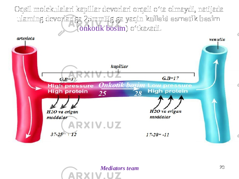 Oqsil molekulalari kapillar devorlari orqali oʻta olmaydi, natijada ularning devorlariga 25mmHg ga yaqin kalloid osmotik bosim ( onkotik bosim ) oʻtkazadi . Mediators team 20 