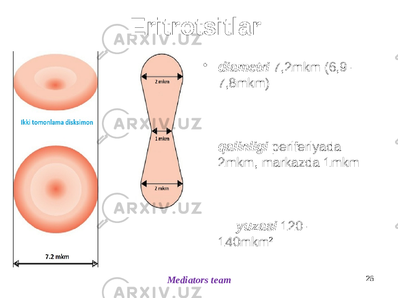 Eritrotsitlar • diametri 7,2mkm (6,9- 7,8mkm) qalinligi periferiyada 2mkm, markazda 1mkm yuzasi 120- 140mkm 2 hajmi 80mkm 3 (78-95mkm 3 ) normal shakli – sirkular, ikki tomonlama disk koʻrinishida (kulchasimon)Mediators team 26 