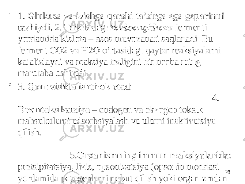 28• 1. Glukoza va ivishga qarshi taʼsirga ega geparinni tashiydi . 2. Tarkibidagi karboangidraza fermenti yordamida kislota – asos muvozanati saqlanadi. Bu ferment CO2 va H2O oʻrtasidagi qaytar reaksiyalarni katalizlaydi va reaksiya tezligini bir necha ming marotaba oshiradi. • 3. Qon ivishda ishtirok etadi 4. Dezintaksikatsiya – endogen va ekzogen toksik mahsulotlarni adsorbsiyalash va ularni inaktivatsiya qilish. 5. Organizmning immun reaksiyalarida : pretsipitatsiya, lizis, opsonizatsiya (opsonin moddasi yordamida patogenlarni nobut qilish yoki organizmdan chiqarish) tipdagi reaksiyalarda ishtirok etadi. 