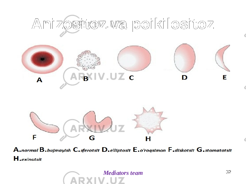 Anizositoz va poikilositoz Mediators team 32 