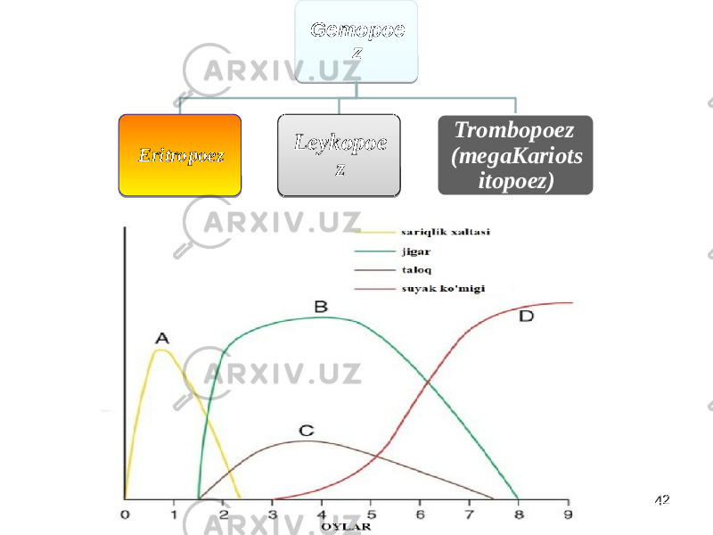 Mediators team 42Gemopoe z Eritropoez Leykopoe z Trombopoez (megaKariots itopoez)20 07 3C 3E 0F 