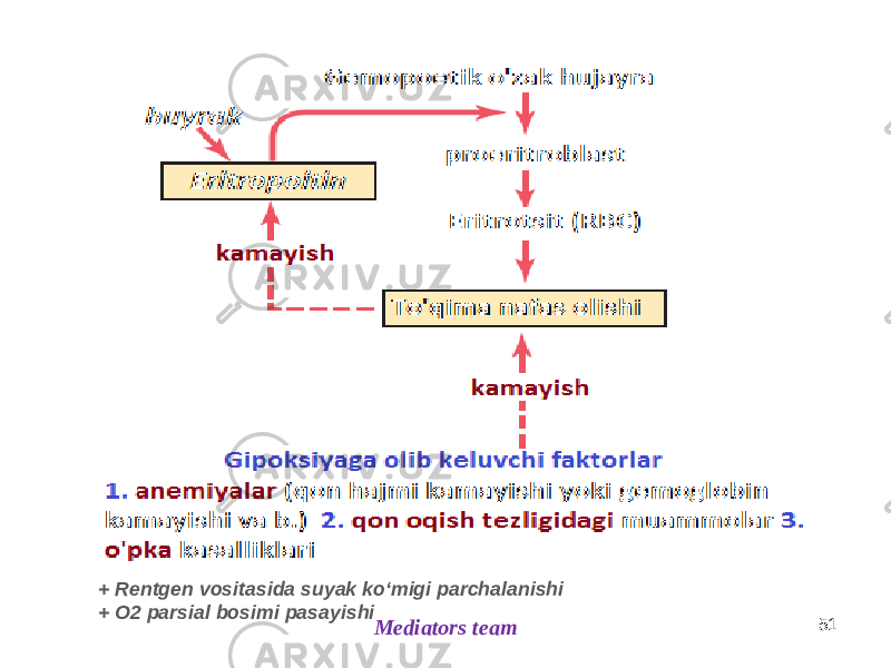 51 Mediators team+ Rentgen vositasida suyak koʻmigi parchalanishi + O2 parsial bosimi pasayishi 